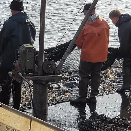 Ostsee Radlerpension Konukevi Peitz