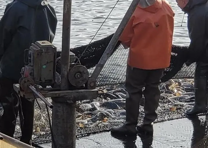 Ostsee Radlerpension Vendégház Peitz